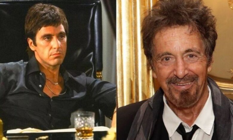 al pacino kimdir biyografisi oynad