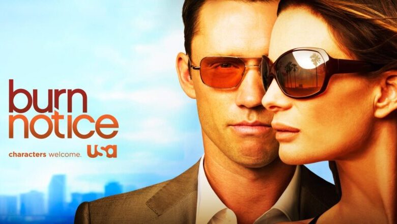 burn notice dizi tanit