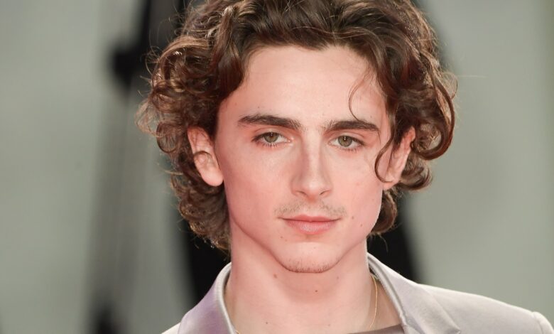 timothee chalamet kimdir biyografisi